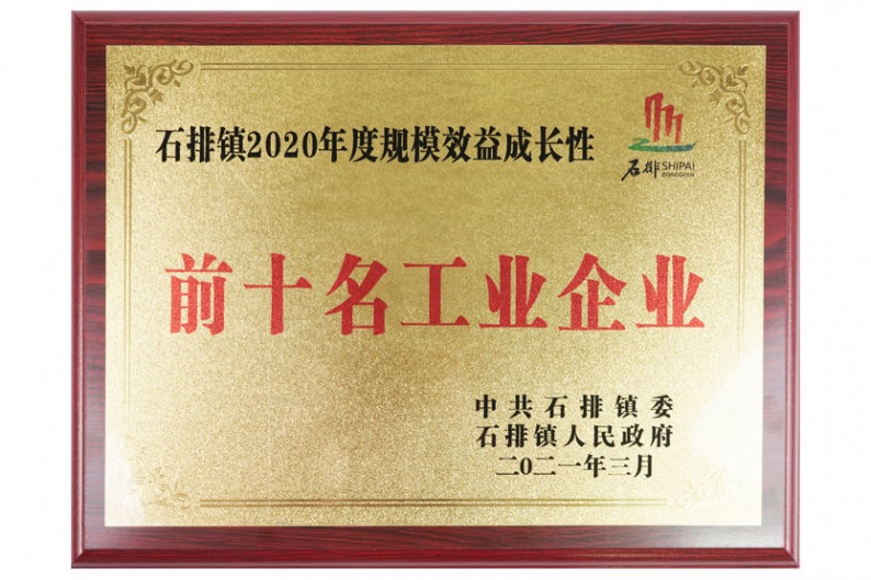 特姆優傳動—石排鎮2020年度規模效益成長性前十名工業企業
